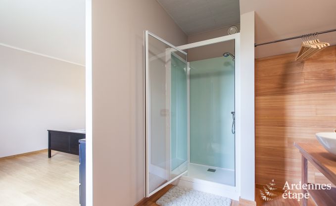 Zeer mooie vakantiewoning in Gedinne voor 20 personen in de Ardennen