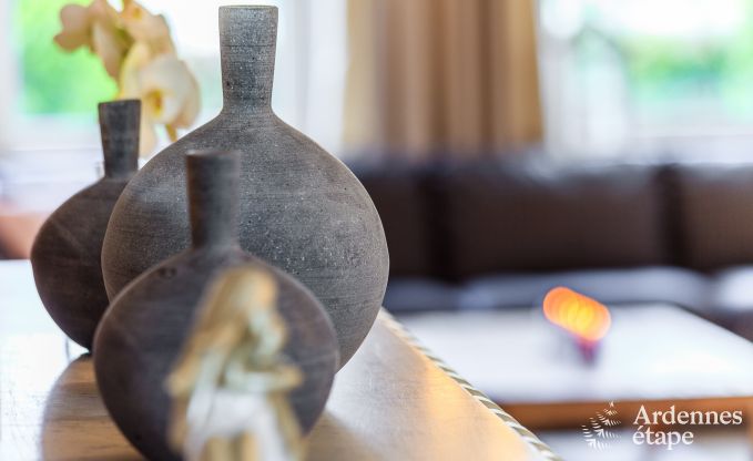 Zeer mooie vakantiewoning in Gedinne voor 20 personen in de Ardennen