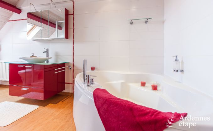 Zeer mooie vakantiewoning in Gedinne voor 20 personen in de Ardennen