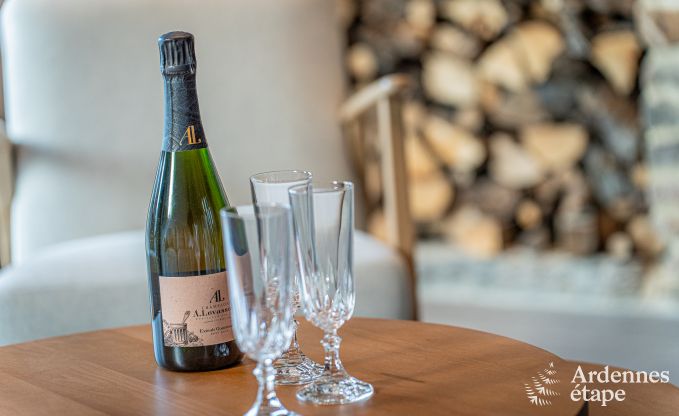 Vakantiehuis in Gedinne voor 6 personen in de Ardennen