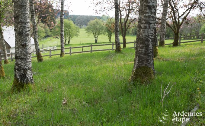 Vakantiehuis in Gedinne voor 2/4 personen in de Ardennen