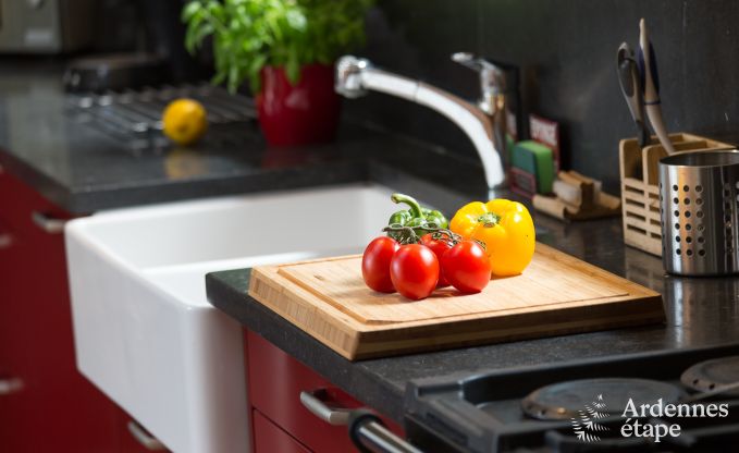 Vakantiehuis in Gedinne voor 2/4 personen in de Ardennen