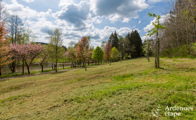 Vakantiehuis in Gedinne voor 2/4 personen in de Ardennen