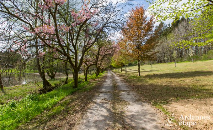 Vakantiehuis in Gedinne voor 2/4 personen in de Ardennen