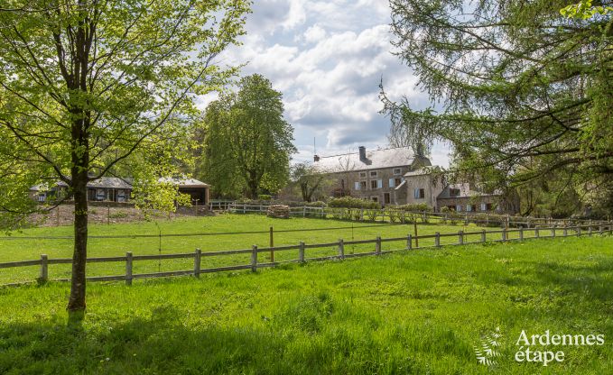 Vakantiehuis in Gedinne voor 2/4 personen in de Ardennen