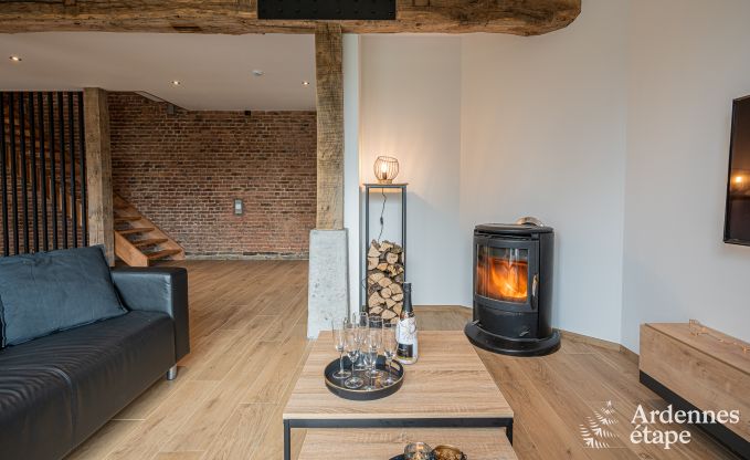 Vakantiehuis in Gedinne voor 10/12 personen in de Ardennen