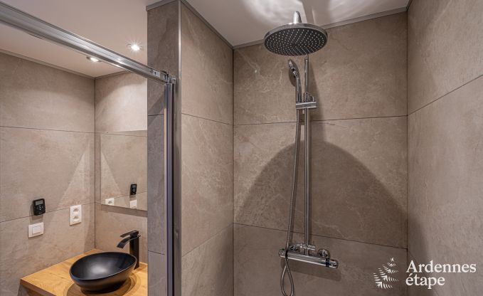 Vakantiehuis in Gedinne voor 10/12 personen in de Ardennen