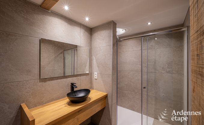 Vakantiehuis in Gedinne voor 10/12 personen in de Ardennen