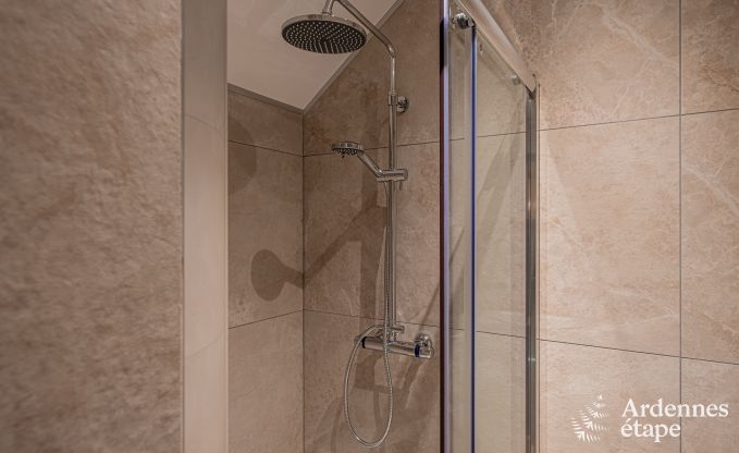 Vakantiehuis in Gedinne voor 10/12 personen in de Ardennen