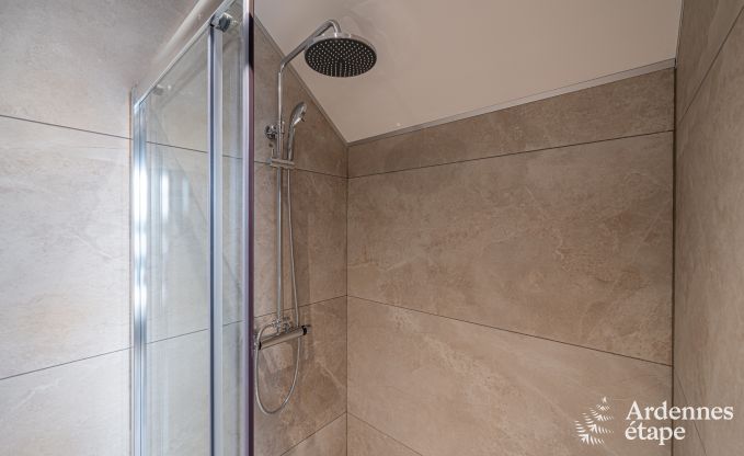 Vakantiehuis in Gedinne voor 10/12 personen in de Ardennen