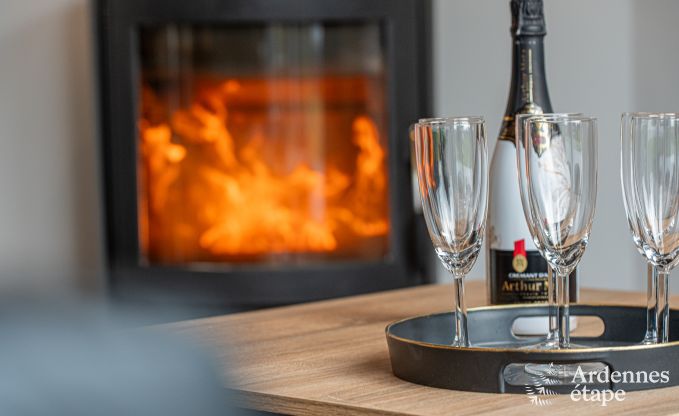 Vakantiehuis in Gedinne voor 10/12 personen in de Ardennen