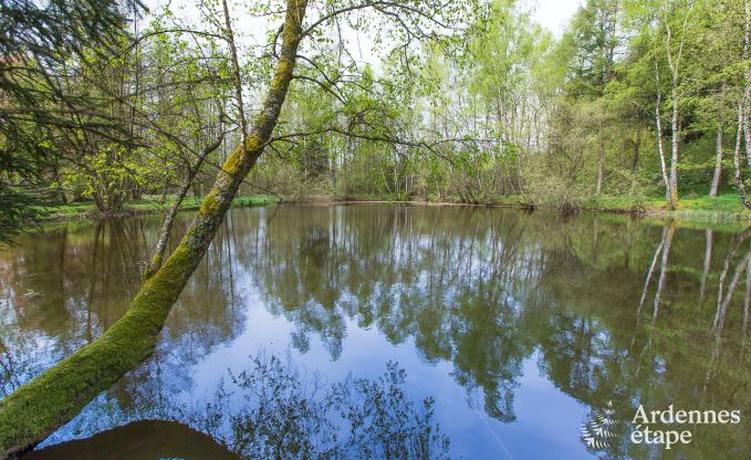 Vakantiehuis in Gedinne voor 14 personen in de Ardennen