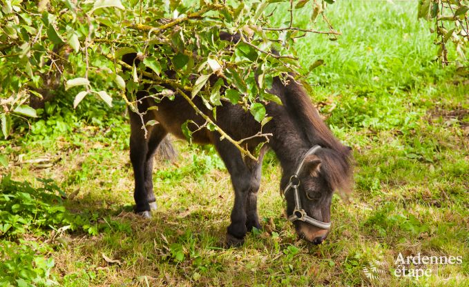 Bijgebouw van een kasteel in Gembloux voor 18 personen