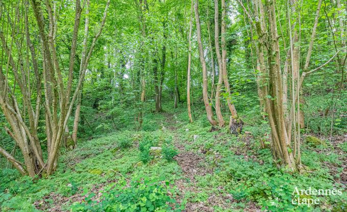 Luxueus landhuis in Gesves, Belgische Ardennen