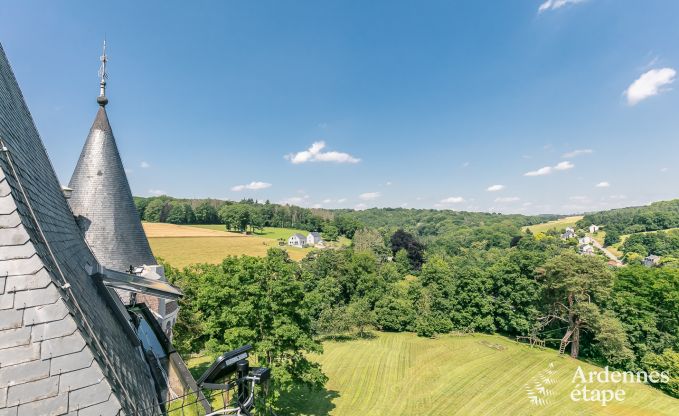 Kasteel in Gesves voor 40 personen in de Ardennen