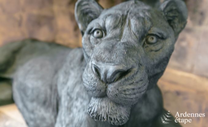 Kasteel in Gesves voor 40 personen in de Ardennen