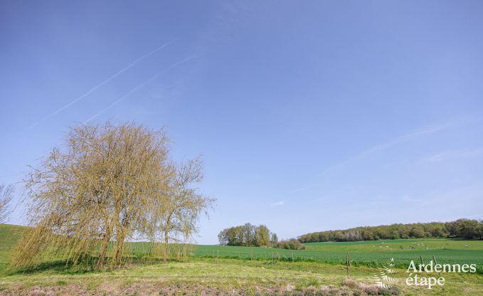 Vakantiehuis in Gesves voor 6/8 personen in de Ardennen