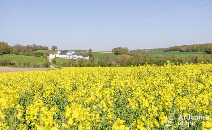 Vakantiehuis in Gesves voor 6/8 personen in de Ardennen