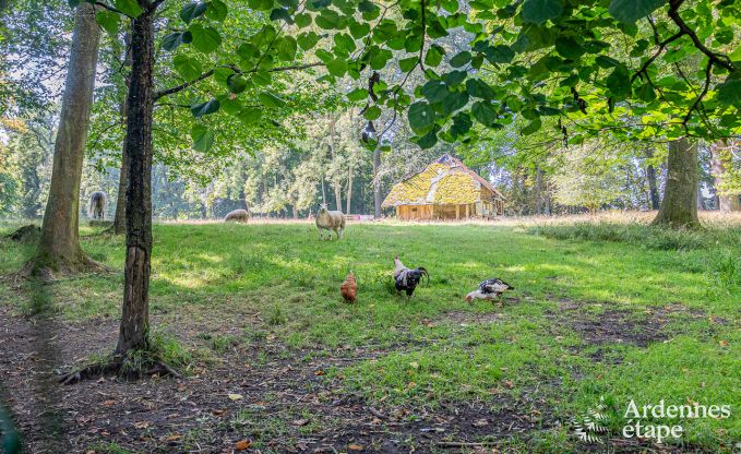 Gezellig en hondvriendelijk vakantiehuis voor 4 personen in Gesves, Ardennen