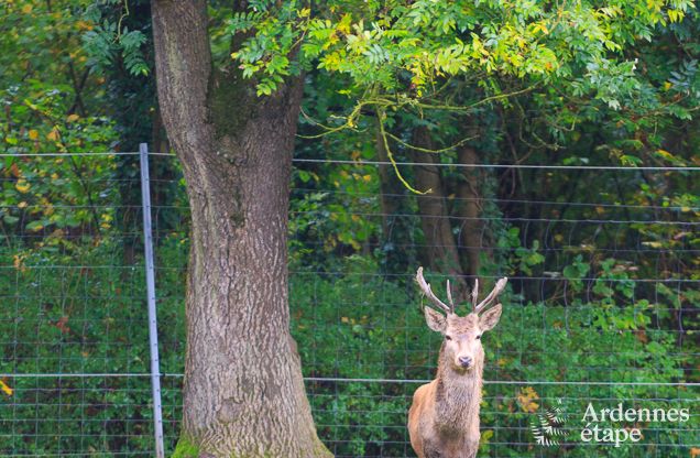 Vakantiehuis in Gesves voor 8/9 personen in de Ardennen