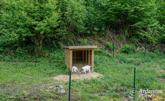 Luxueus landhuis in Gesves, Belgische Ardennen