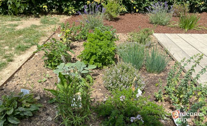 Vakantiehuis in Gouvy voor 4/6 personen in de Ardennen