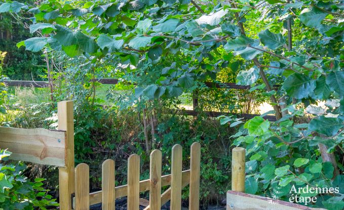 Comfortabel en ruim vakantiehuis in Gouvy, Ardennen