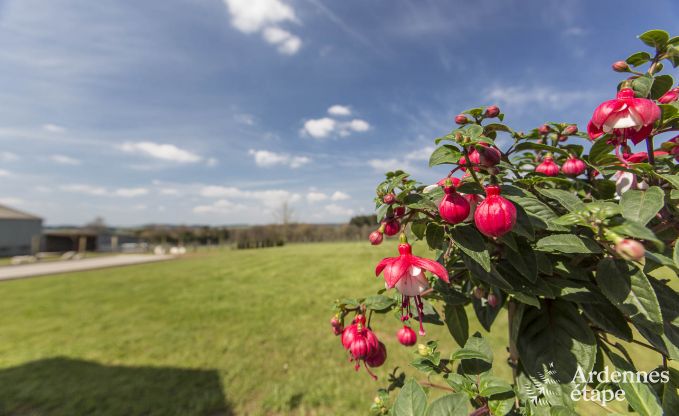 Vakantiehuis in Gouvy voor 9 personen in de Ardennen