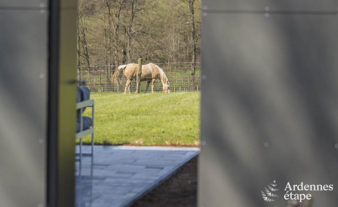 Vakantiehuis in Gouvy voor 9 personen in de Ardennen