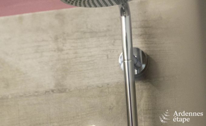 Vakantiehuis in Gouvy voor 9 personen in de Ardennen