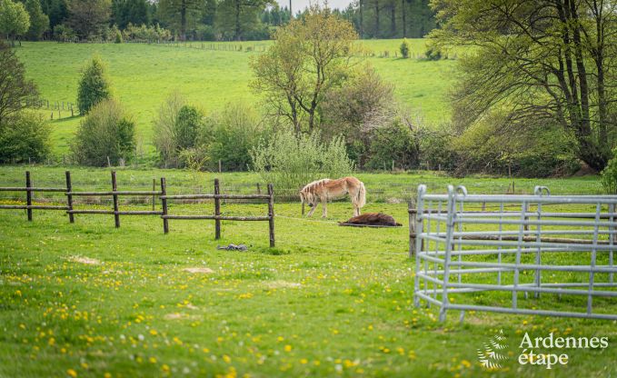 Vakantiehuis in Gouvy voor 9 personen in de Ardennen