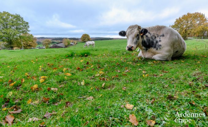 Vakantiehuis in Grimbi�mont voor 6 personen in de Ardennen