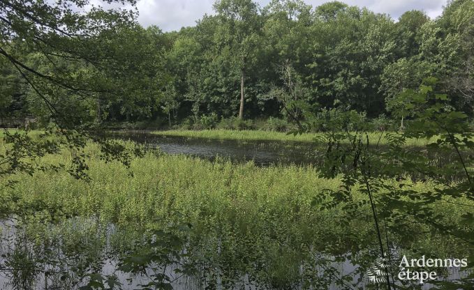 Vakantiehuis in Habay voor 12 personen in de Ardennen