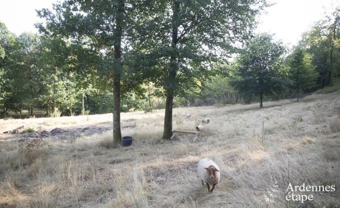Vakantiehuis in Habay voor 12 personen in de Ardennen