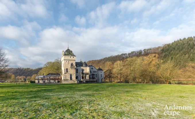 Kasteel in Hamoir voor 8/9 personen in de Ardennen