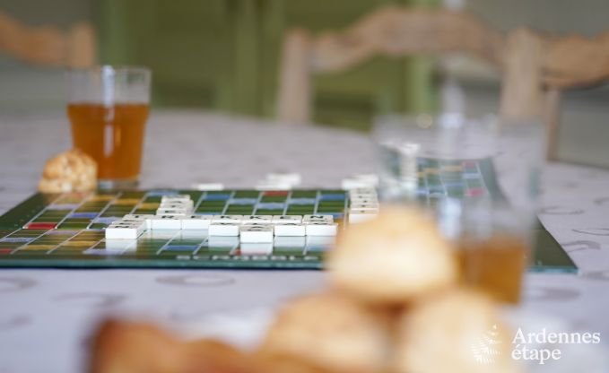 Kasteel in Hamoir voor 8/9 personen in de Ardennen