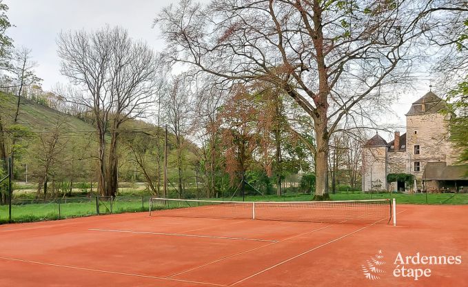 Kasteel in Hamoir voor 8/9 personen in de Ardennen