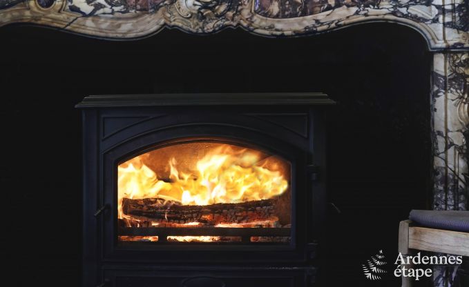 Kasteel in Hamoir voor 8/9 personen in de Ardennen