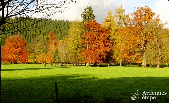 Kasteel in Hamoir voor 8/9 personen in de Ardennen