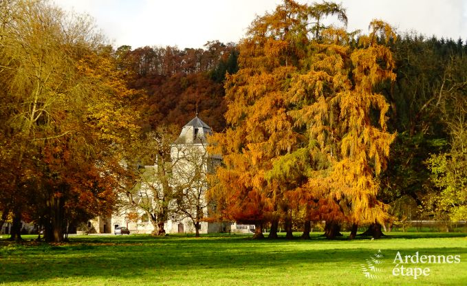 Kasteel in Hamoir voor 8/9 personen in de Ardennen