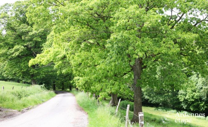 Vakantiehuis in Hamoir voor 11 personen in de Ardennen