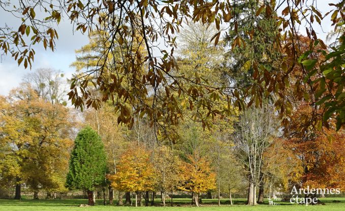 Kasteel in Hamoir voor 8/9 personen in de Ardennen