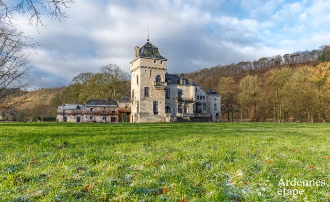 Kasteel in Hamoir voor 8/9 personen in de Ardennen