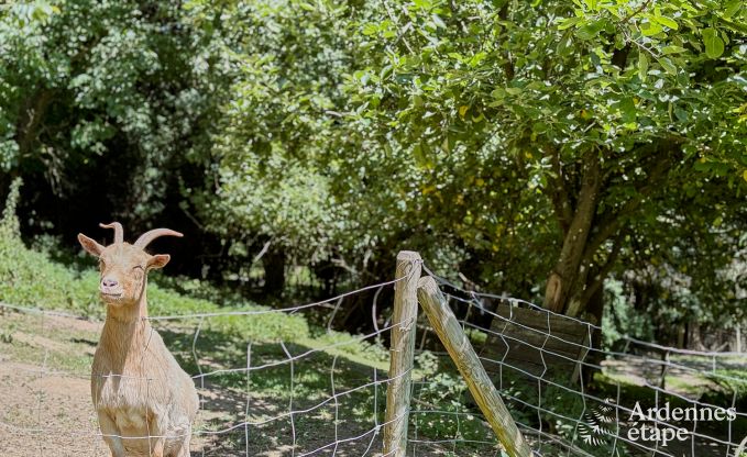 Ruim vakantiehuis voor 14 personen met 5 slaapkamers, 4 badkamers en grote priv�tuin in Hamoir, Ardennen