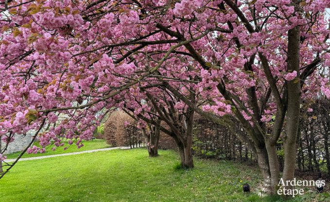 Charmant vakantiehuis voor 8 personen in Hamois met 4 slaapkamers, 3 badkamers, priv�tuin, speelruimte en terras aan het water