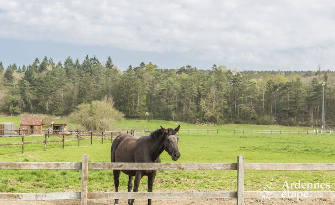 Loft in Han sur Lesse voor 7 personen in de Ardennen
