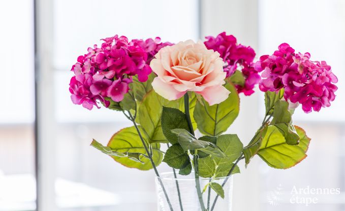 Loft in Han sur Lesse voor 7 personen in de Ardennen