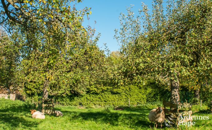 Vakantiehuis in Han sur Lesse voor 10 personen in de Ardennen