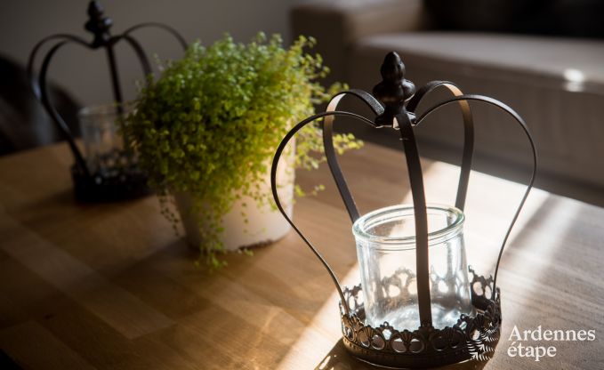 Vakantiehuis in Han sur Lesse voor 10 personen in de Ardennen