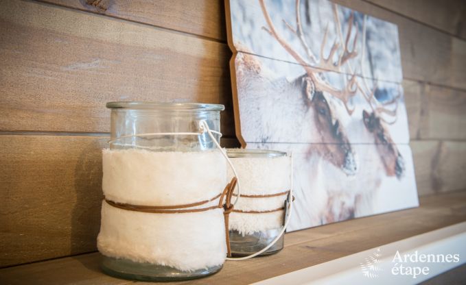 Vakantiehuis in Han sur Lesse voor 10 personen in de Ardennen